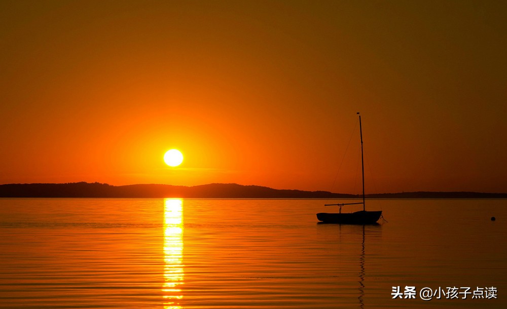 关于荷花的诗句古诗词经典,荷花中描写荷花优美生动的语句