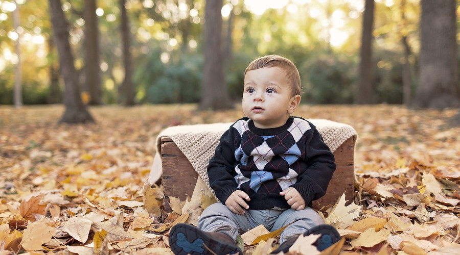 离婚需要什么材料和流程,离婚诉讼需要哪些材料