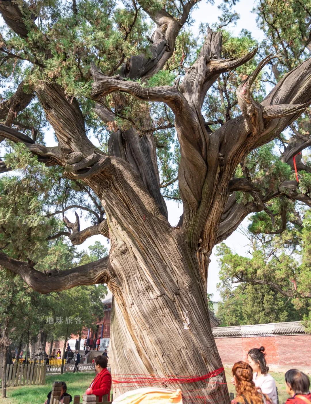 嵩山为何是天下第一山,为什么嵩山是最有气质的