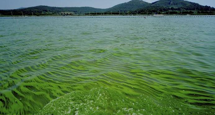 地球上最厚的冰层,地球第三极冰层