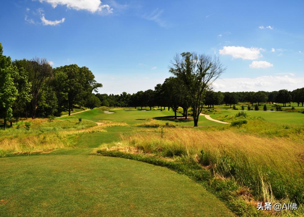 美国圆石滩高尔夫球场,美国高尔夫球场数量