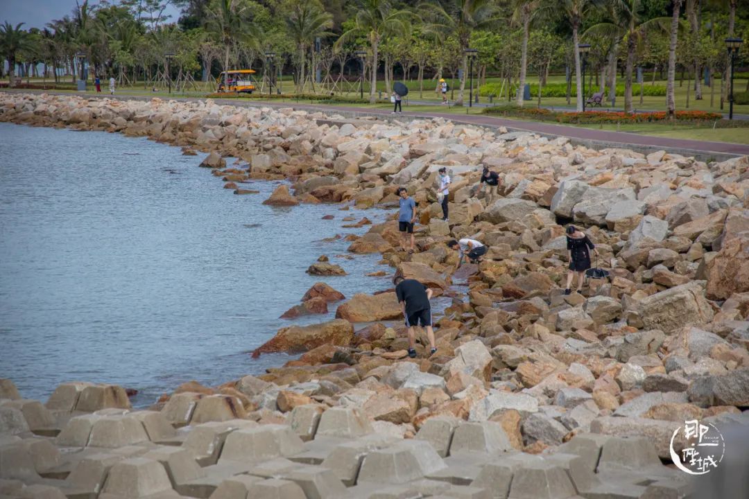 我去了最适合谈恋爱的珠海，回来却还是个单身狗