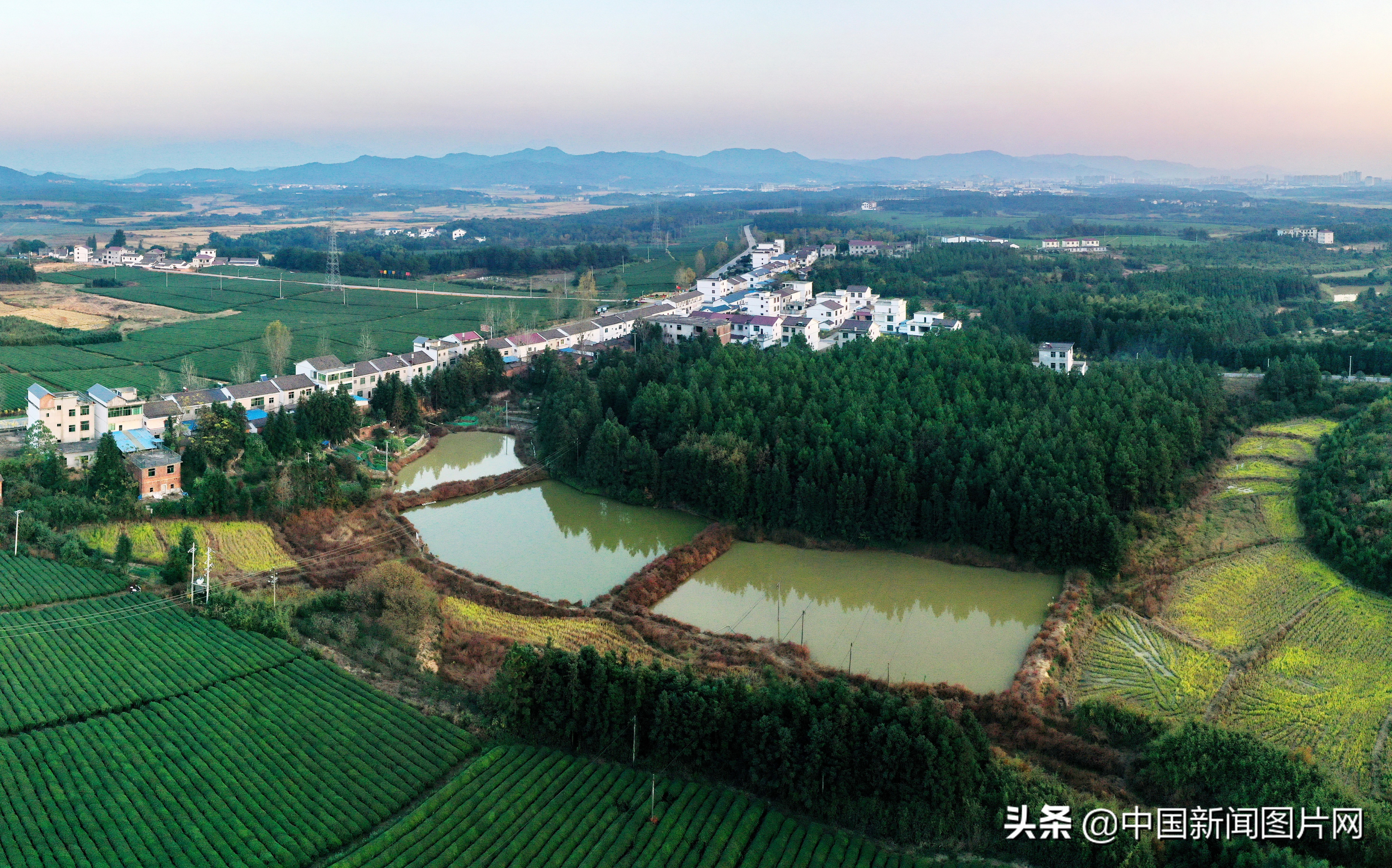 江西抚州幸福家园,江西金溪生态乡村美如画组图