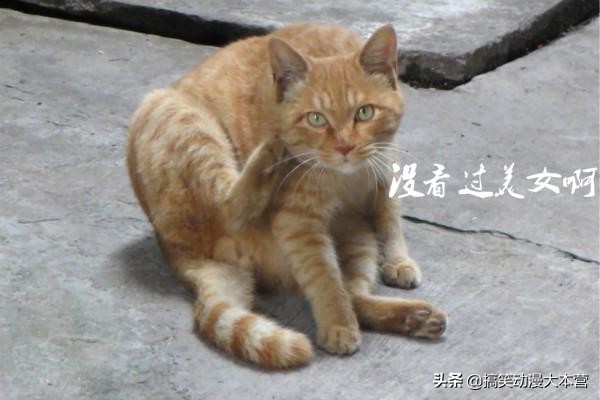 开心一刻：我只是做错了一件事，被老婆罚跪遥控器，还不允许换台