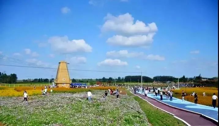 合肥田园自驾游,合肥乡村田园风光游路线