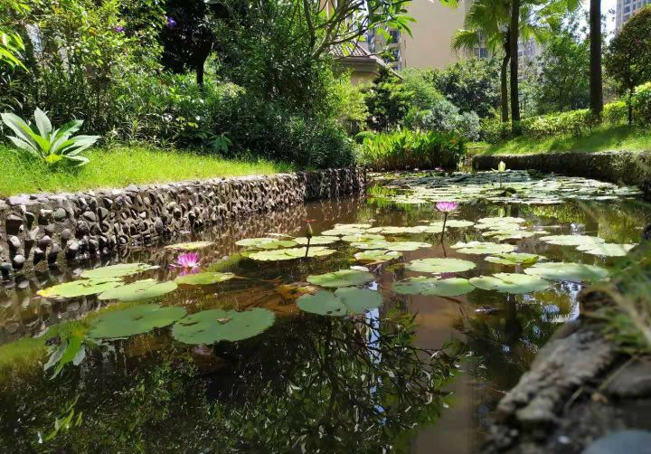 广州市增城翡翠绿洲房子能入手吗,增城翡翠绿洲最新消息