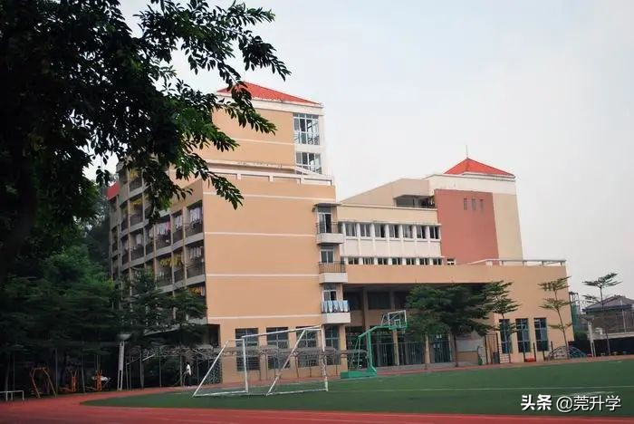 这3所热门初中不对外招生，学位全部直升，到底有多大魅力？