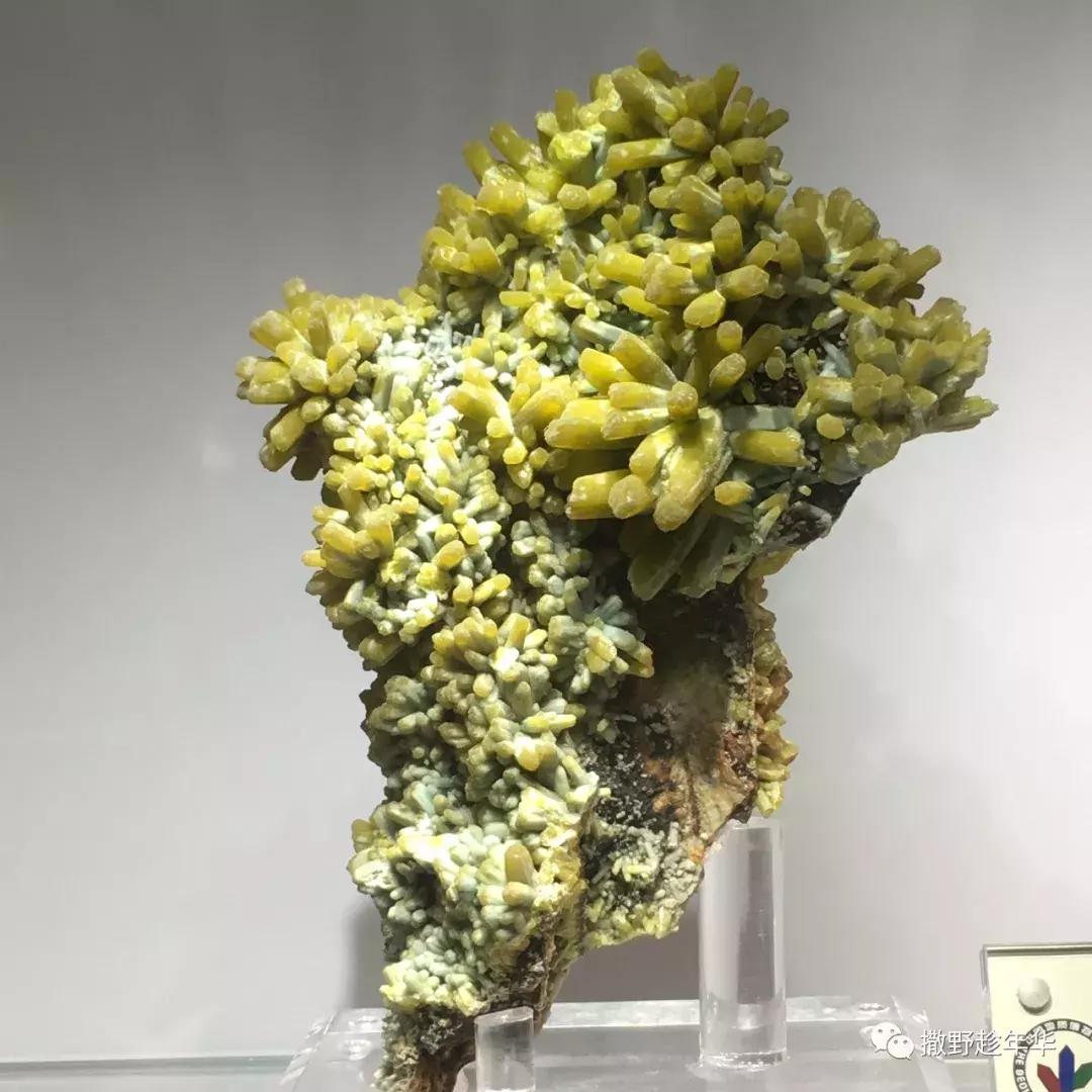 地壳深处的彩虹与少女心