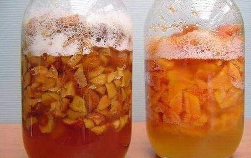 吃完桔子柚子皮皱巴巴,发酵成肥埋盆里,枝条窜出盆变成绿瀑布