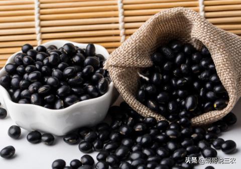 黑豆正确的营养价值和功效,黑豆营养价值特点及功效