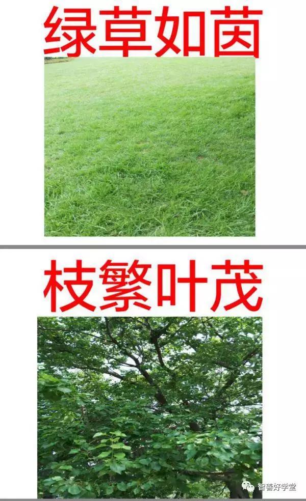 实用成语1000个教学,形容方法好学习效率高的成语