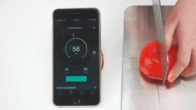 德国工业4.0不锈钢菜板，颠覆传统彻底解决砧板发霉、起屑难题