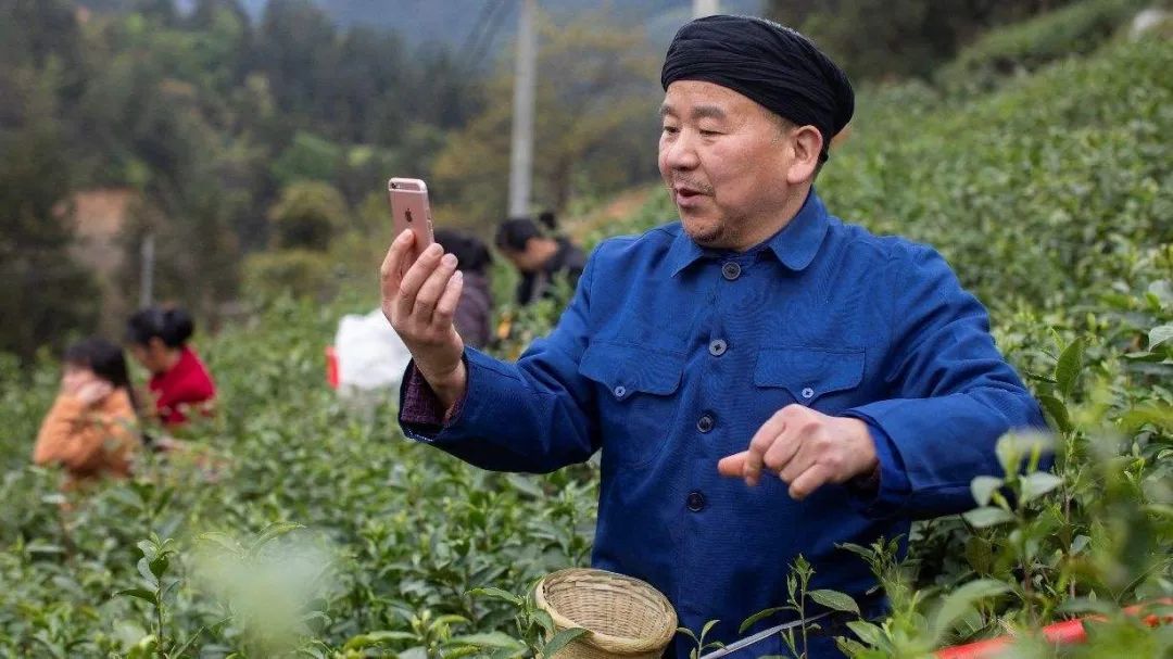 一个草根农民的走红之路,一个草根的农民的走红之路