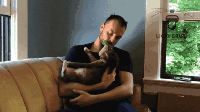 长毛猫撸猫毛工具,哪种撸猫毛的工具好用