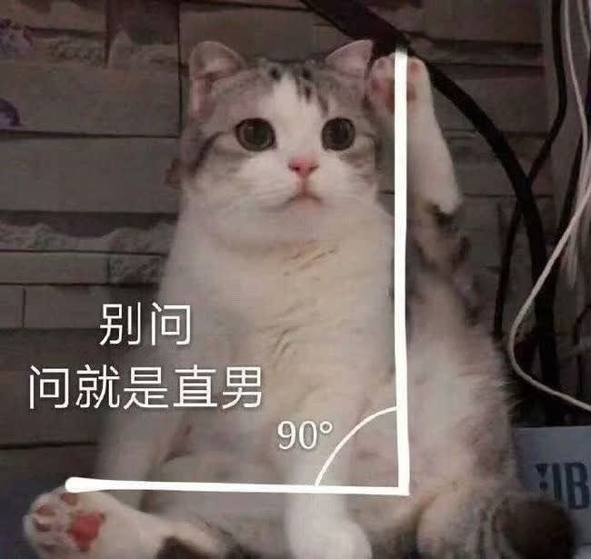 「护理」狗子来了大姨妈怎么办？