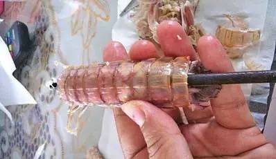 海边人教你皮皮虾的正宗吃法如何,这个季节皮皮虾非常鲜美