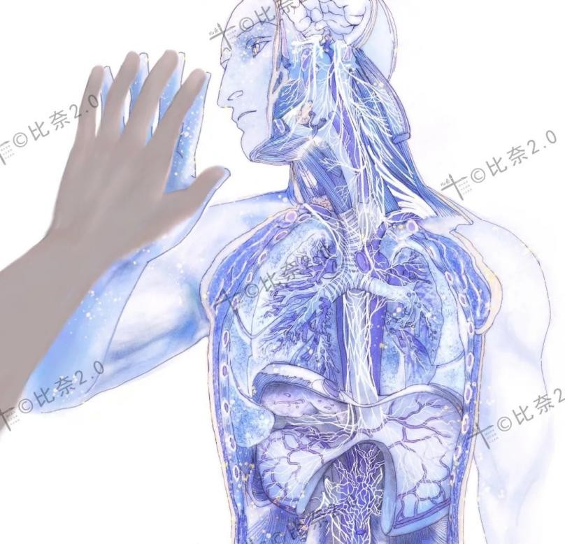 灵魂画手的手绘作品,医学生手绘器官创意解剖绘画