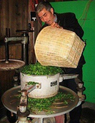 青茶的种类和工艺,青茶和绿茶制作工艺有什么区别