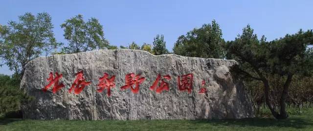 你住天津哪个区？来看看2021年你们区有什么大好事？