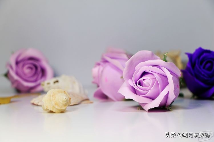 镜头uv镜选哪个好,镜头uv镜选购