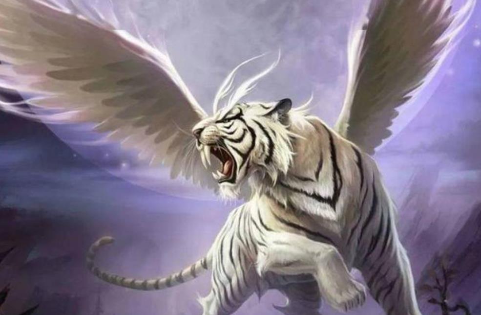 龙长虎短千金不换是什么意思,龙长虎短好还是龙短虎长好