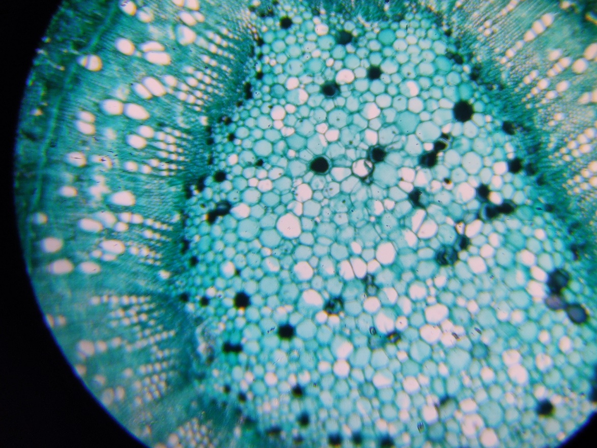 花式搞电脑,花式投影仪玩法