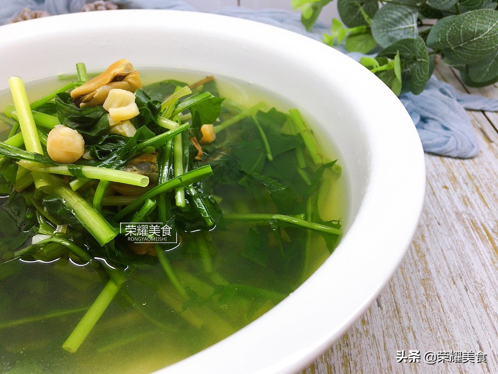 蒲公英野菜什么人不能吃,蒲公英是清热下火的吗