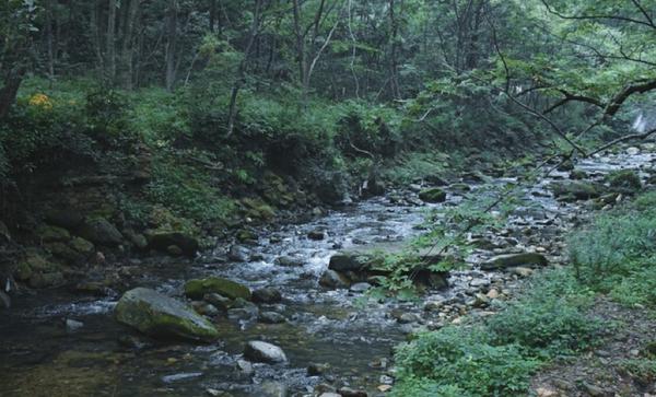武陵源适合隐居吗,武陵源隐居哪里最好