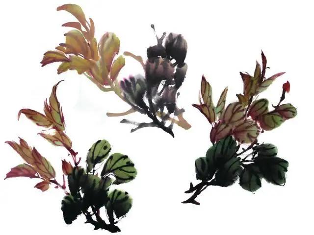 学习写意牡丹画的方法,学习写意牡丹画的步骤