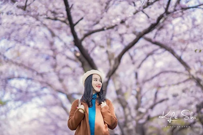 樱花季去日本价格高吗,樱花季去日本旅行