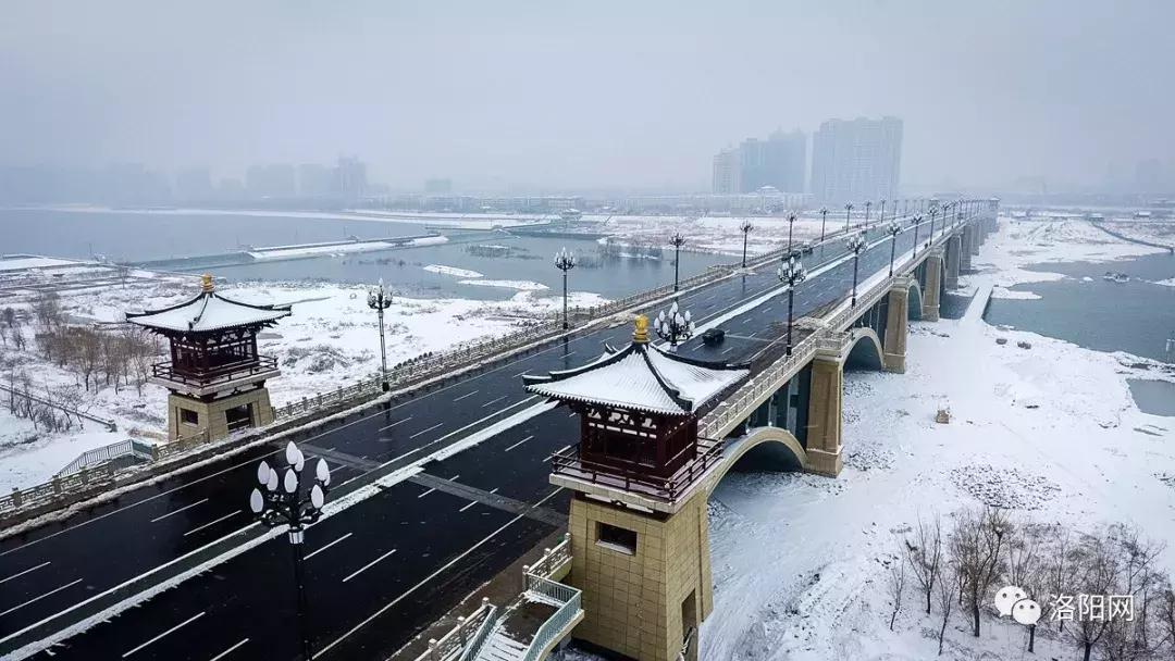 洛阳向全球推介,洛阳向世界发出邀请