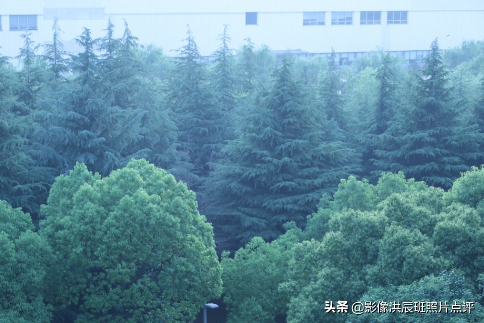 黑色背景怎么拍出质感产品,摄影黑色背景怎么拍得更黑