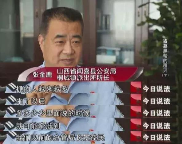 今日说法报道过的扫黑除恶案子,今日说法扫黑除恶铲除保护伞