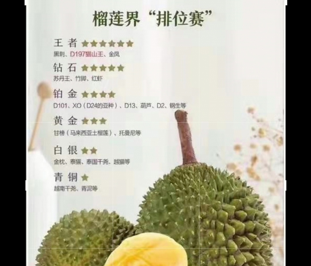 新加坡榴莲季,新加坡榴莲价格