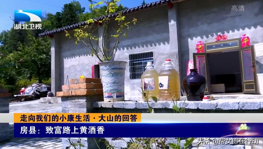 致富路上的房县米酒,湖北房县致富路上的黄酒香
