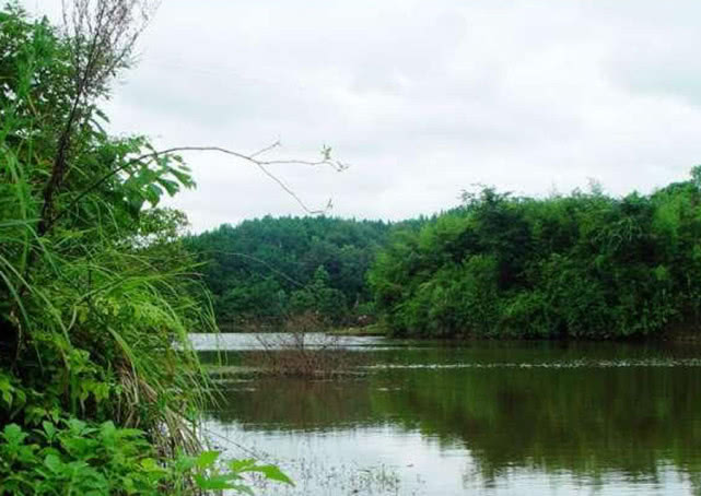 手竿钓大头鱼的最佳方法,手竿钓大头鱼的鱼饵料什么最好