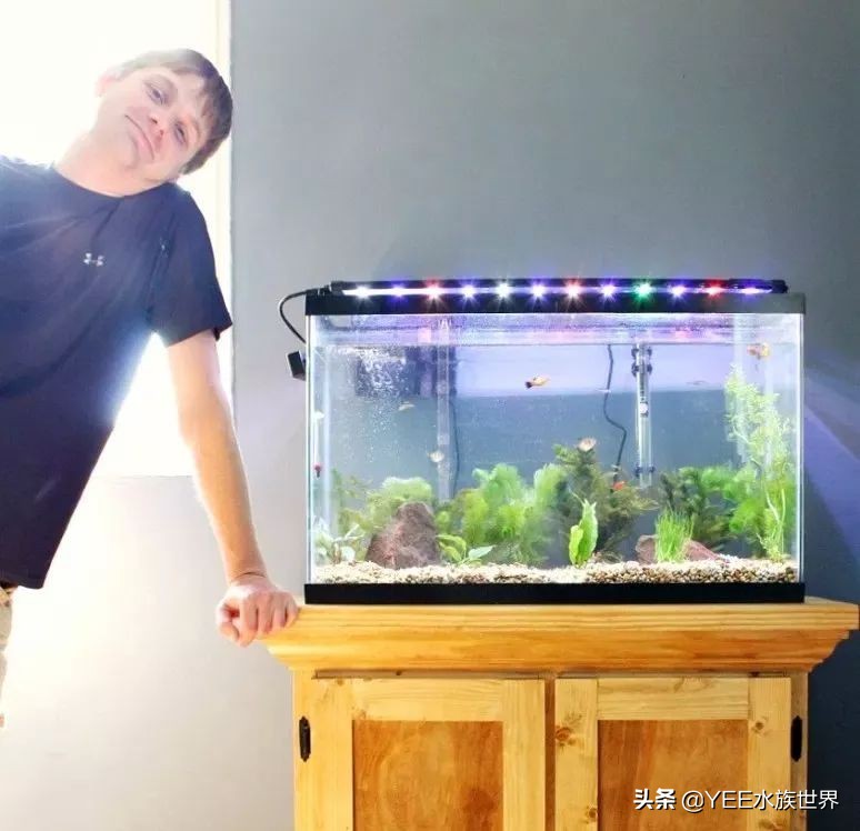 配一套一米的鱼缸多少钱,弄一个鱼缸大概需要多少钱