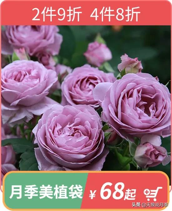 开新店买一送一活动,新店开业搞什么活动买十送十