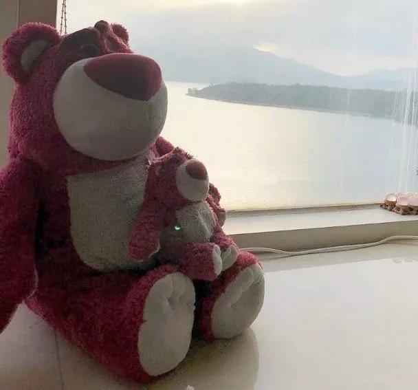 杨怡自曝公主身份后续,杨怡怀孕后首次露面