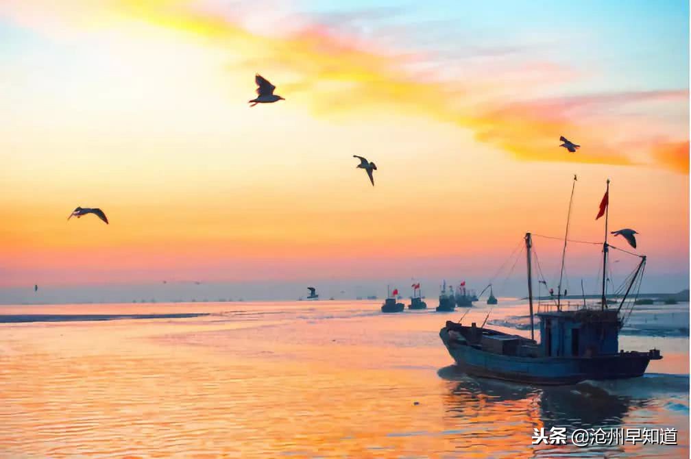 沧州旅游攻略必玩的景点冬天,沧州游玩攻略必去景点