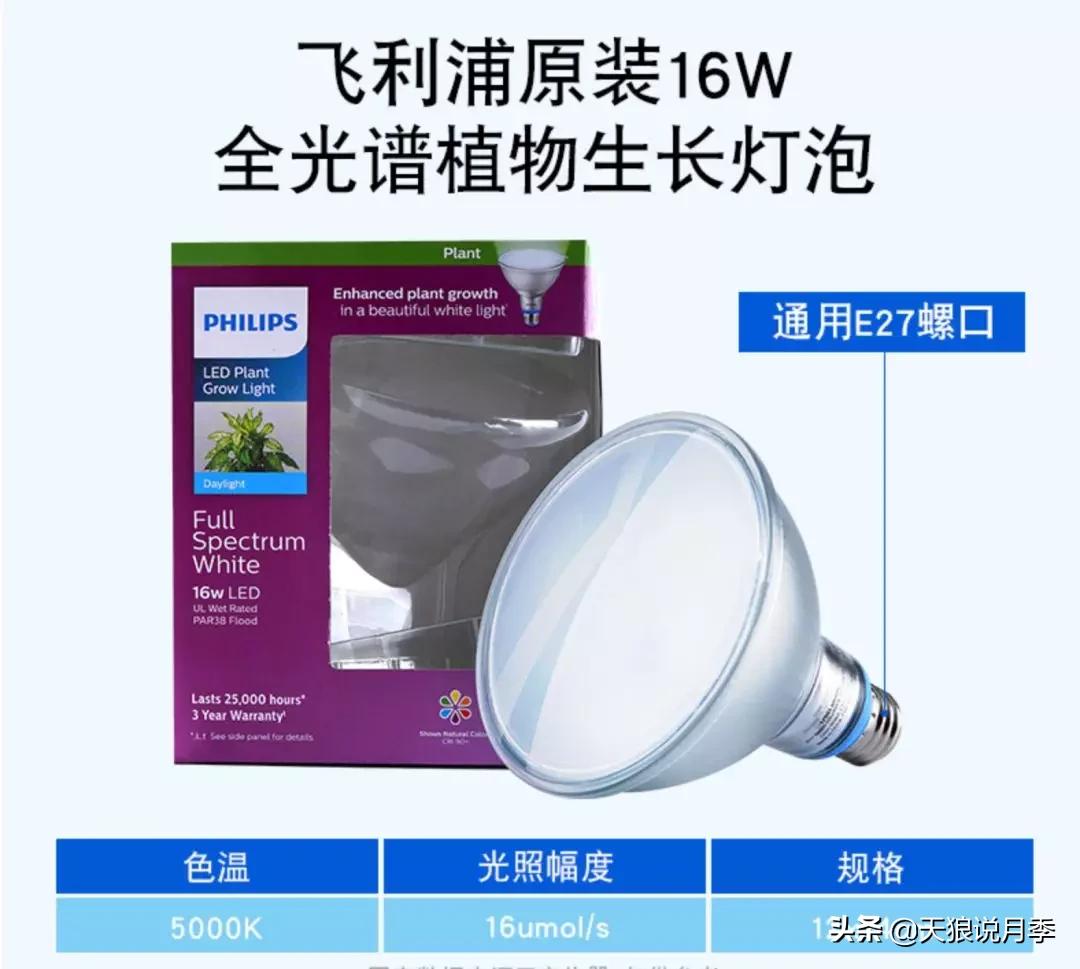 北阳台无直射光,北阳台直射光