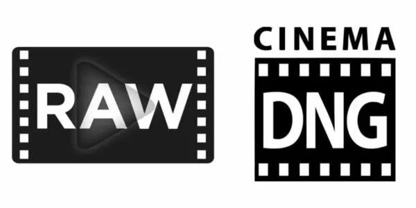 没有8K就不拍视频了?最详细全画幅专业电影机适马fp使用分享来了