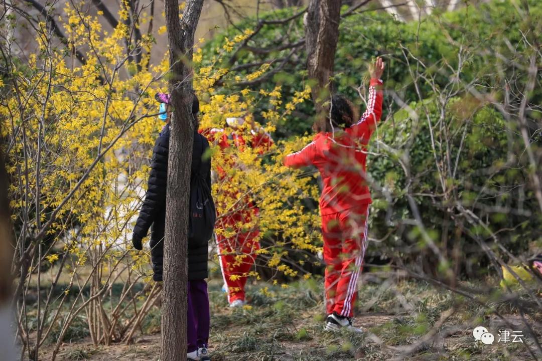 天津都有哪些公园随时免费开放,天津2022年四月开放的公园