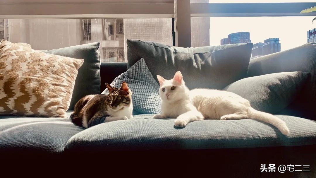 屡次获奖的设计团队,如何用6年诠释“有限制的不设限精神”?