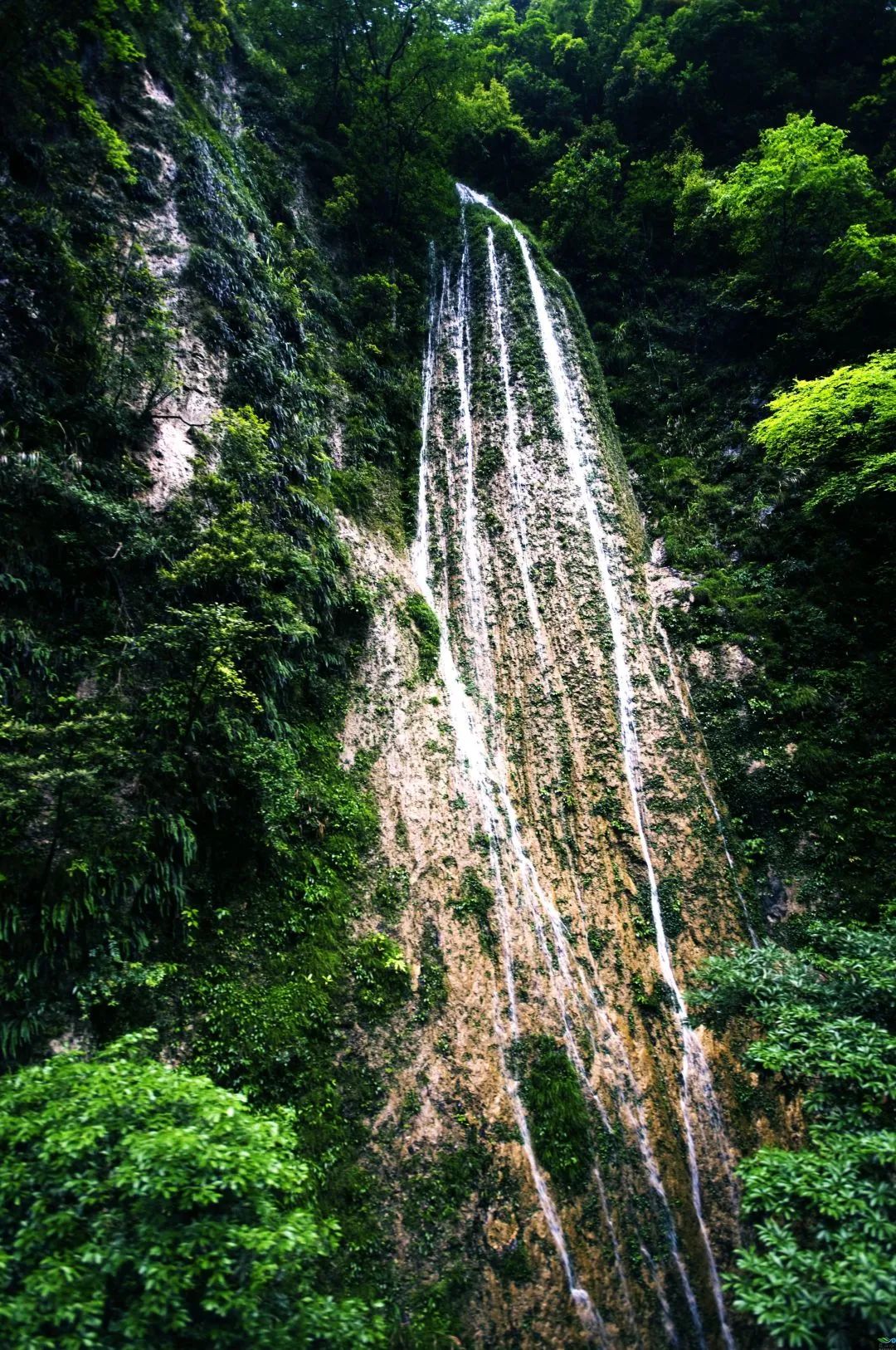 重庆避暑黑山谷,重庆万盛黑山谷生态旅游区