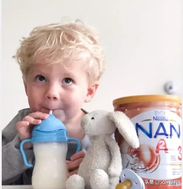 鎺㈢濂剁矇,鎺㈢浼婂埄鐗涘ザ