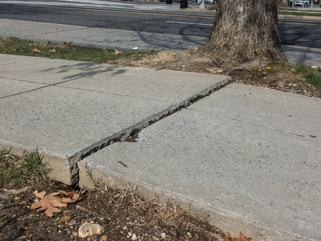 北大教授雷人言论,北大教授有哪些奇葩言论