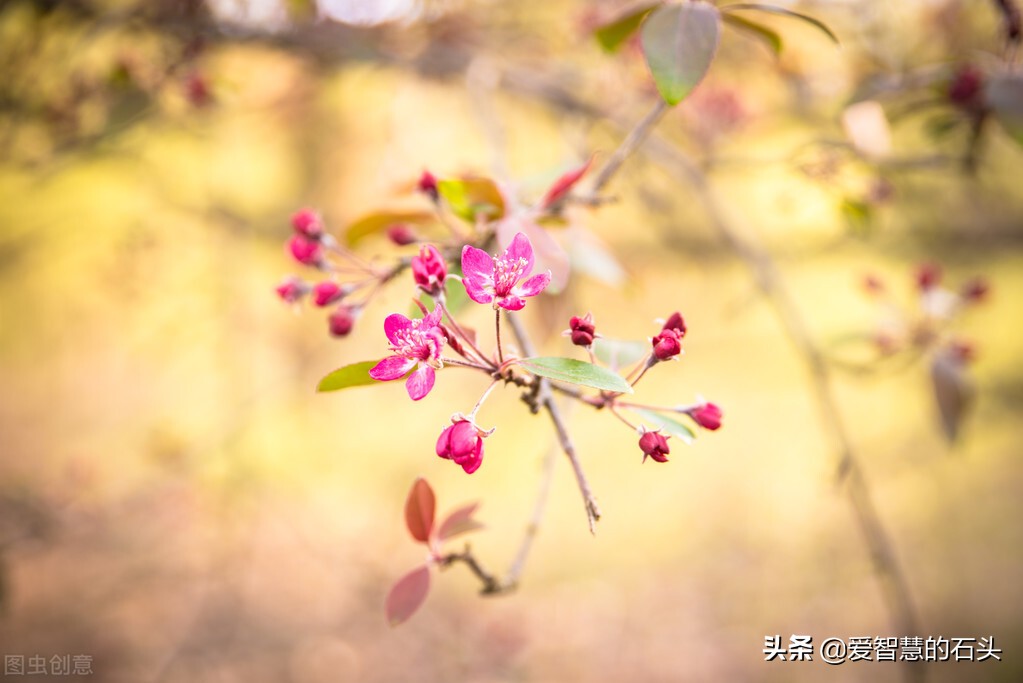 一个女人的圈子干净有多重要,最理想的生活干净的圈子文案