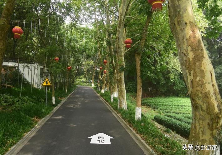 金庸故居九溪玫瑰园,杭州金庸九溪玫瑰园