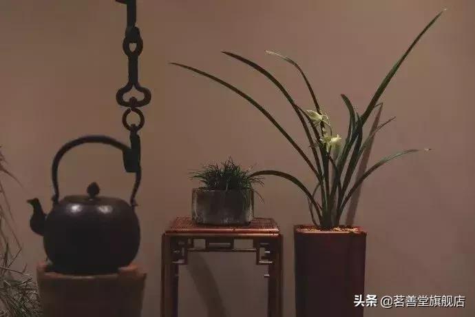 茶叶受潮了怎样祛湿,茶叶受潮还能喝吗